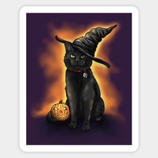 Halloween Cute Black Witch's Cat with Pumpkin Sticker